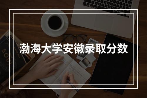 渤海大学安徽录取分数