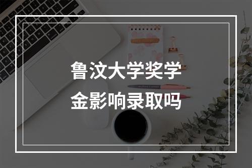 鲁汶大学奖学金影响录取吗