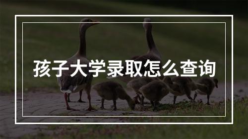 孩子大学录取怎么查询