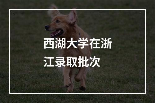 西湖大学在浙江录取批次