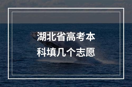 湖北省高考本科填几个志愿