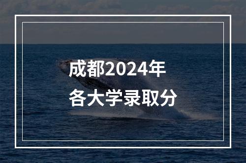 成都2024年各大学录取分