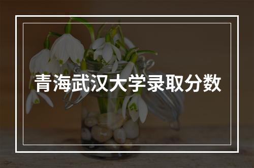 青海武汉大学录取分数