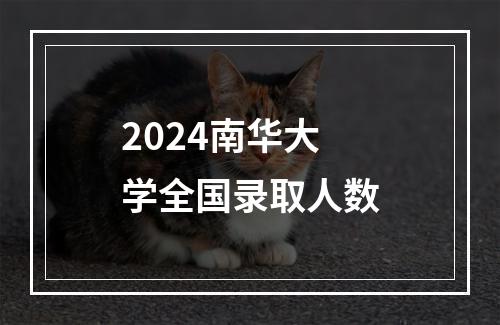 2024南华大学全国录取人数