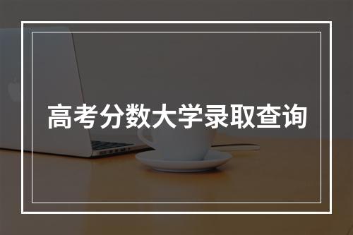 高考分数大学录取查询