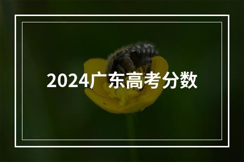 2024广东高考分数