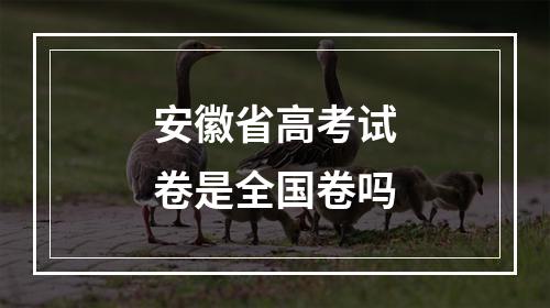 安徽省高考试卷是全国卷吗