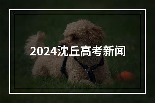 2024沈丘高考新闻