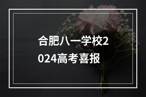 合肥八一学校2024高考喜报