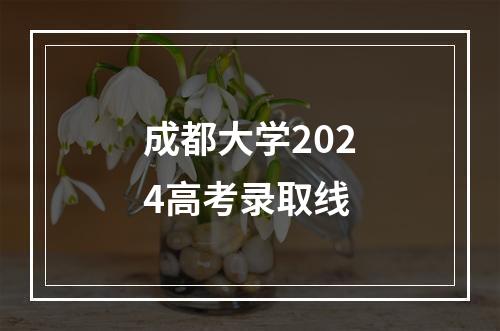 成都大学2024高考录取线