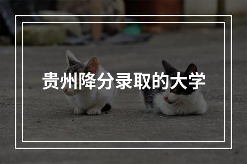 贵州降分录取的大学