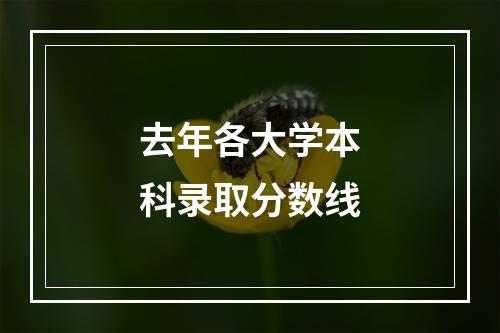 去年各大学本科录取分数线