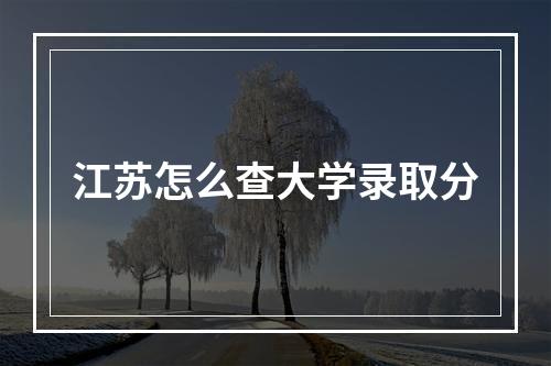 江苏怎么查大学录取分