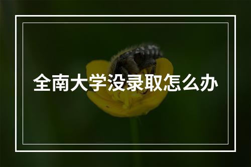 全南大学没录取怎么办