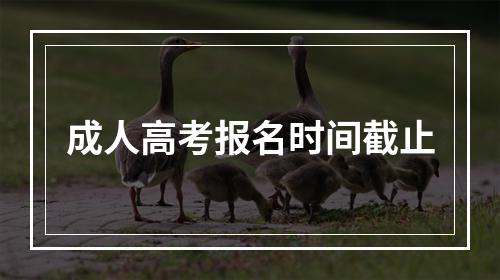 成人高考报名时间截止