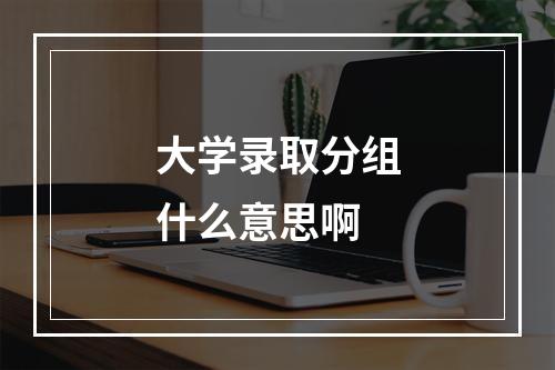 大学录取分组什么意思啊