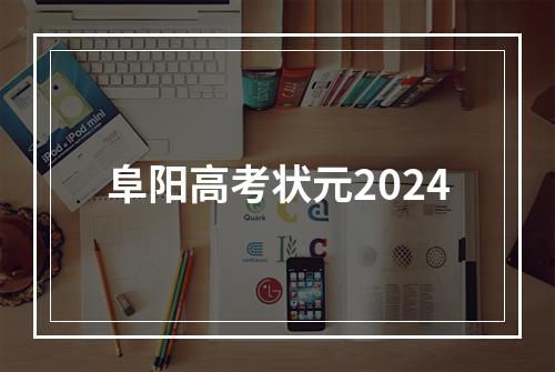 阜阳高考状元2024