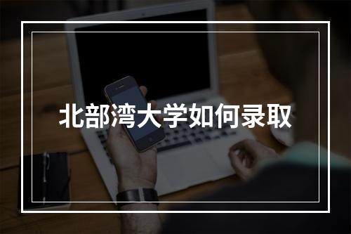 北部湾大学如何录取