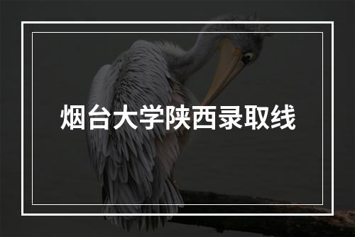 烟台大学陕西录取线