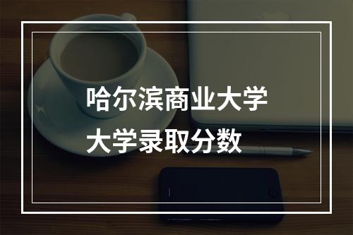 哈尔滨商业大学大学录取分数