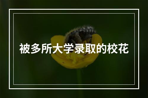 被多所大学录取的校花