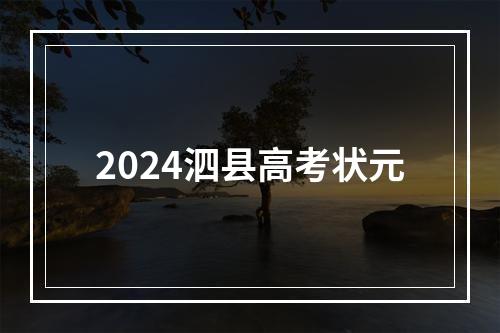 2024泗县高考状元