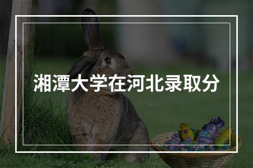 湘潭大学在河北录取分