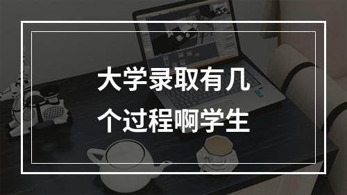 大学录取有几个过程啊学生