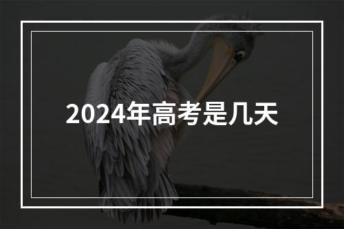 2024年高考是几天