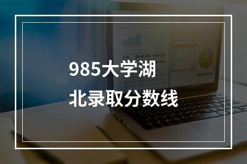 985大学湖北录取分数线