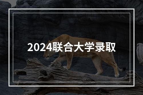 2024联合大学录取