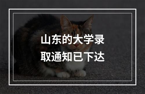 山东的大学录取通知已下达