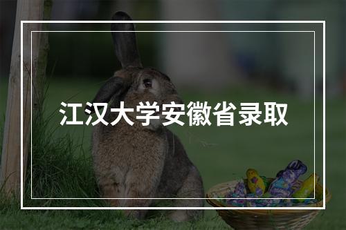 江汉大学安徽省录取