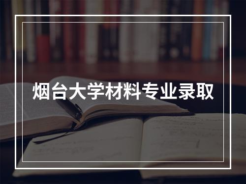 烟台大学材料专业录取