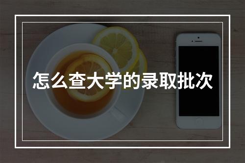 怎么查大学的录取批次