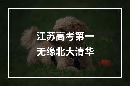 江苏高考第一无缘北大清华