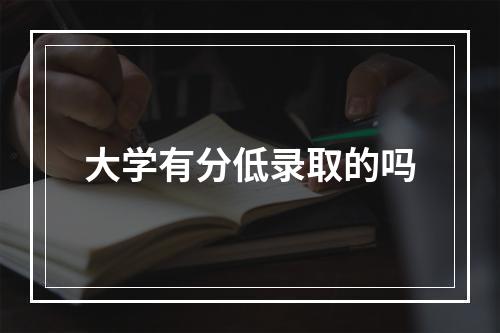 大学有分低录取的吗