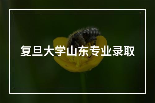 复旦大学山东专业录取