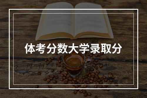 体考分数大学录取分