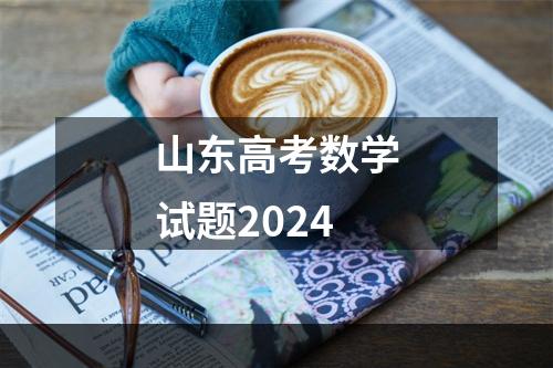 山东高考数学试题2024