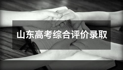 山东高考综合评价录取