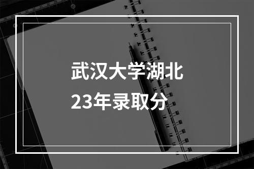 武汉大学湖北23年录取分