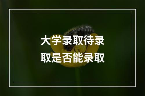 大学录取待录取是否能录取