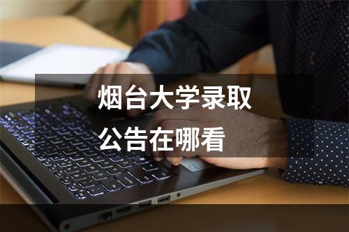 烟台大学录取公告在哪看