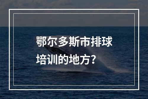 鄂尔多斯市排球培训的地方？