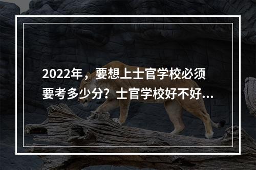 2022年，要想上士官学校必须要考多少分？士官学校好不好？