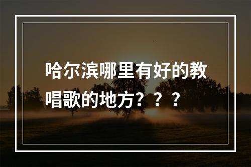 哈尔滨哪里有好的教唱歌的地方？？？