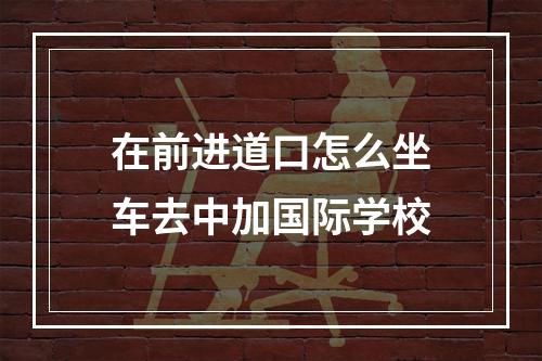 在前进道口怎么坐车去中加国际学校