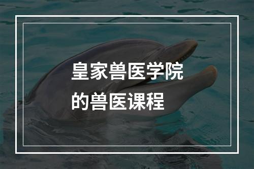 皇家兽医学院的兽医课程