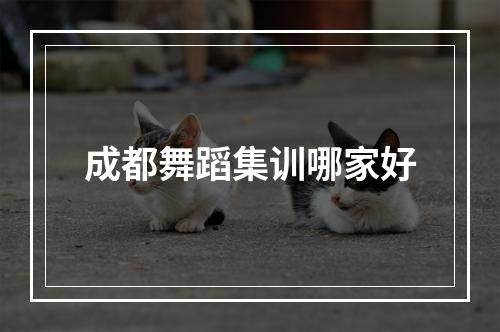 成都舞蹈集训哪家好